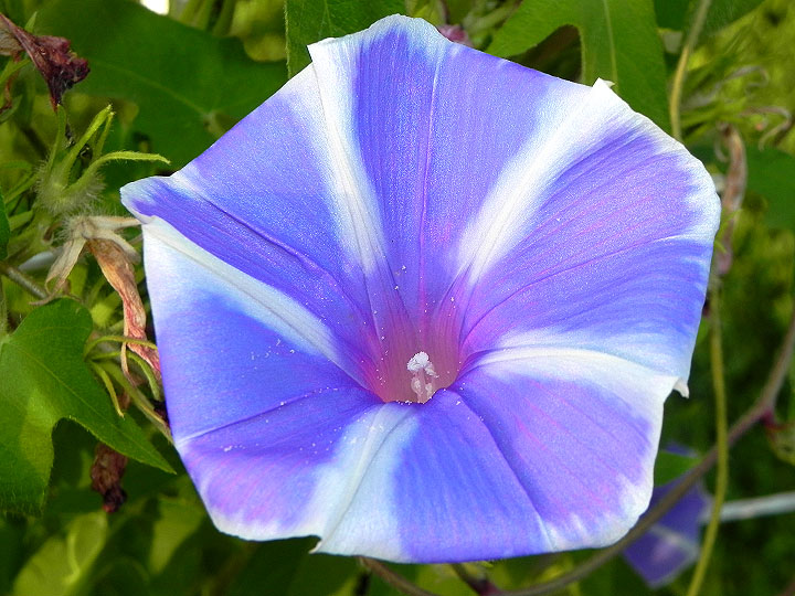 dscn0628