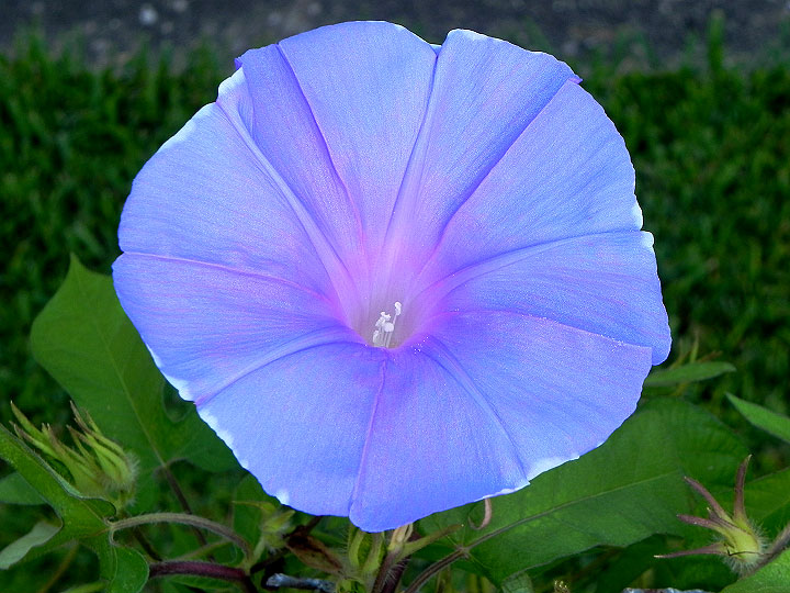 dscn0650