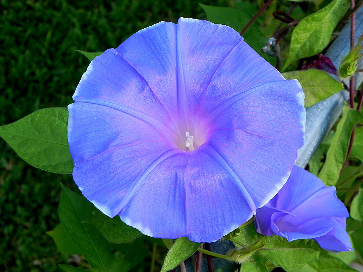 dscn0651