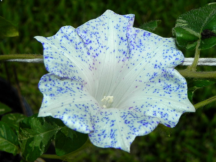 dscn0663