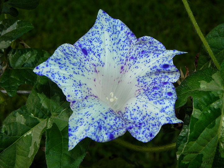 dscn0668