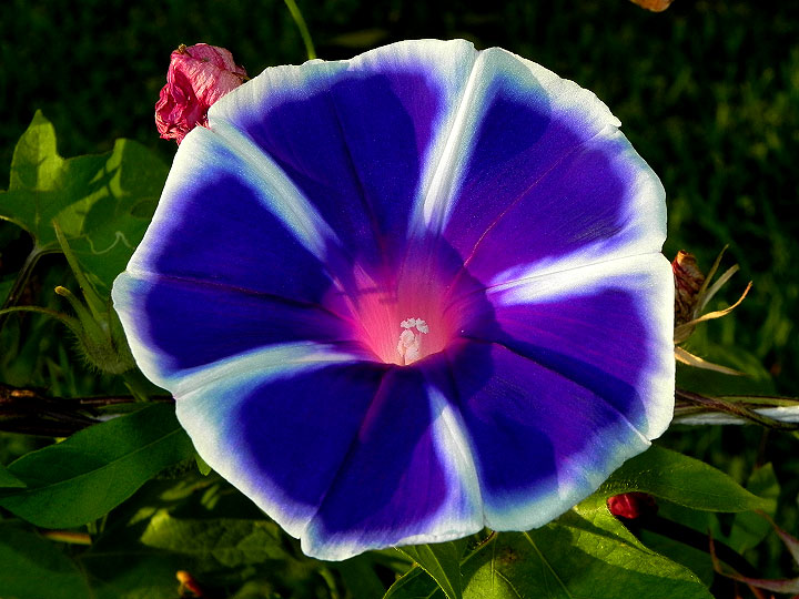 dscn0702