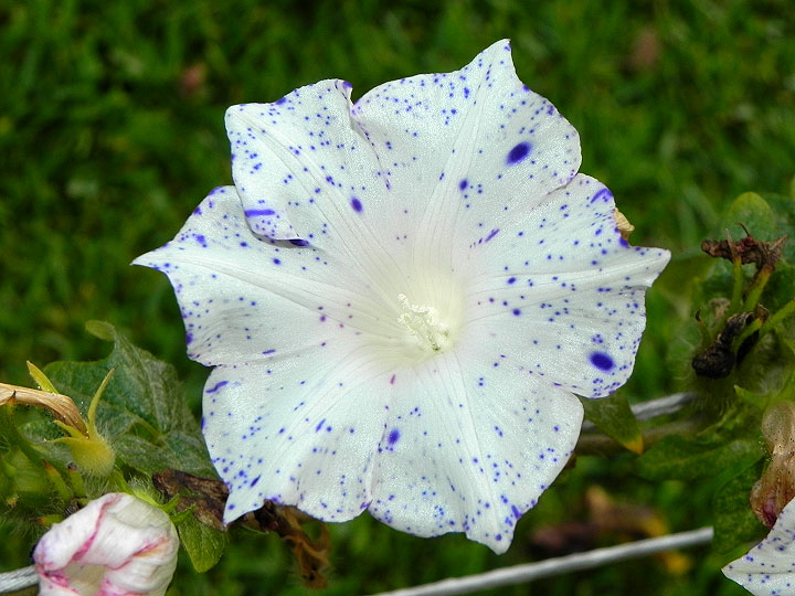 dscn0781