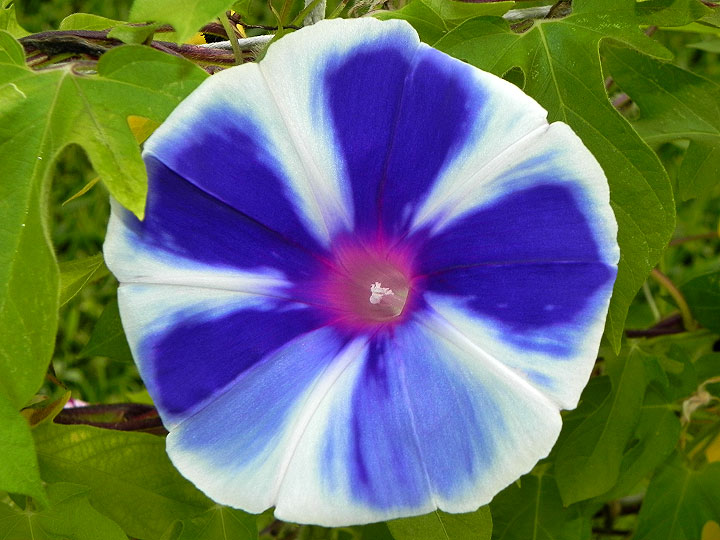 dscn0793