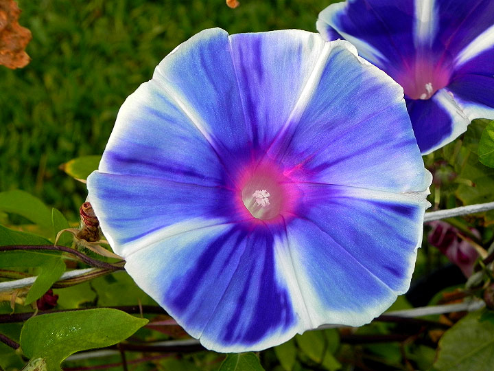 dscn0795