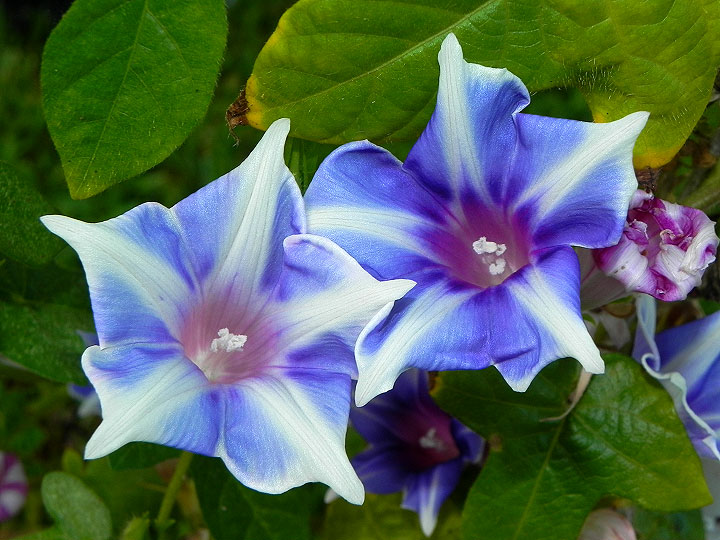dscn0803