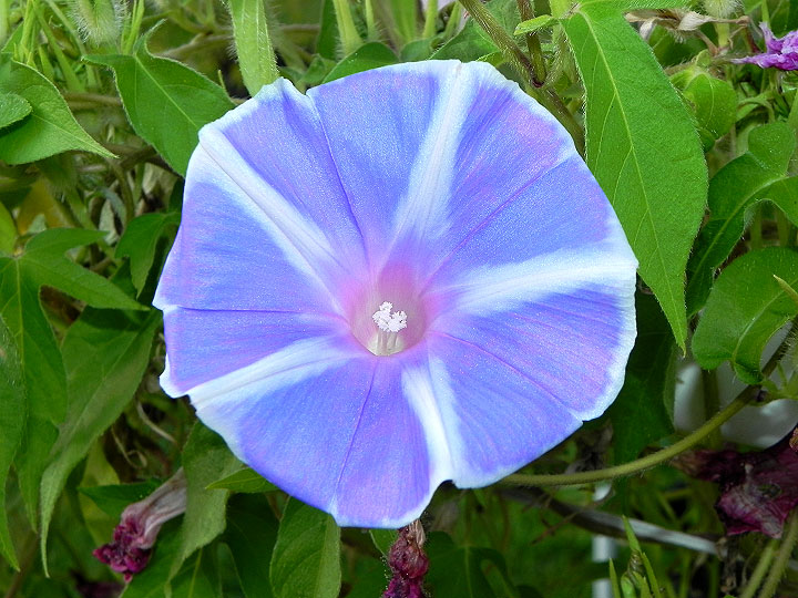 dscn0820