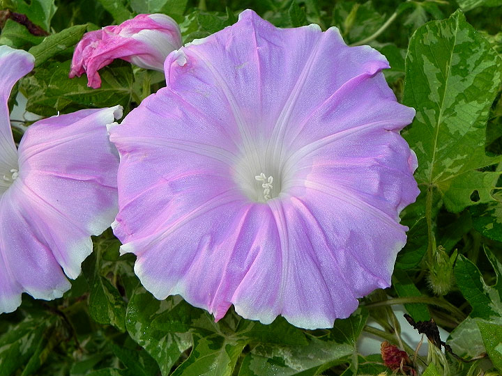 dscn0874