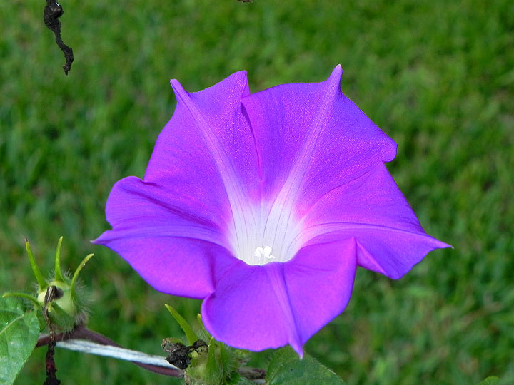 dscn0879