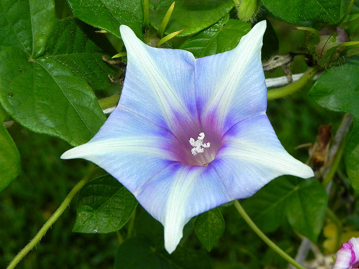 dscn0934