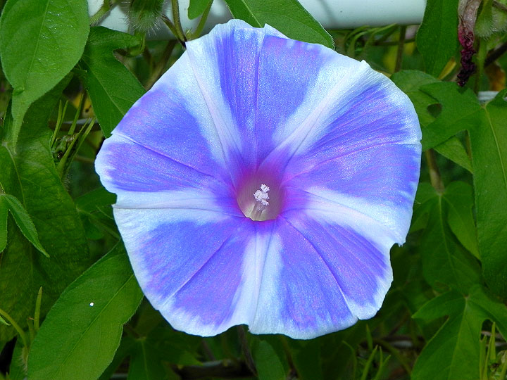 dscn0942