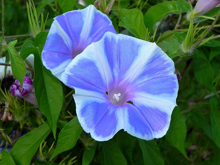 dscn0943