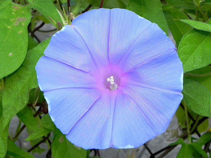 dscn0964
