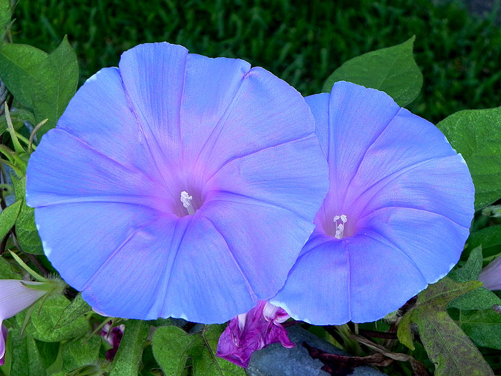 dscn0965