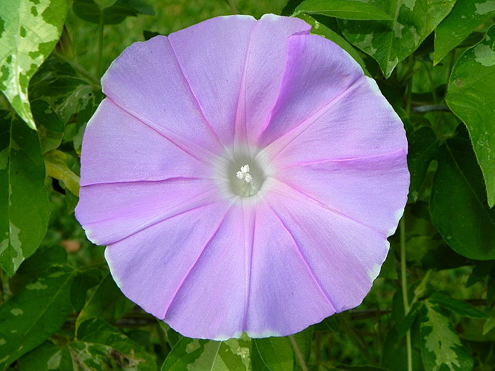 dscn0967