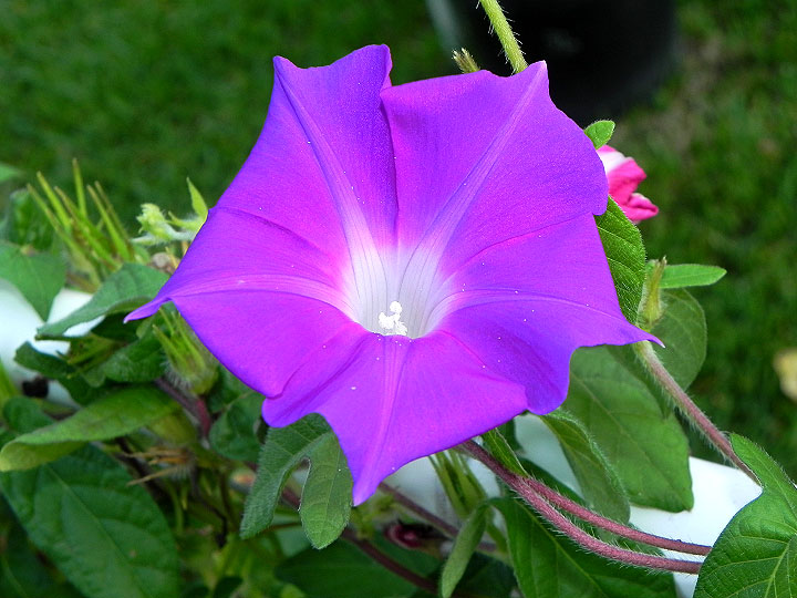 dscn0970
