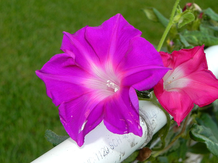 dscn1005