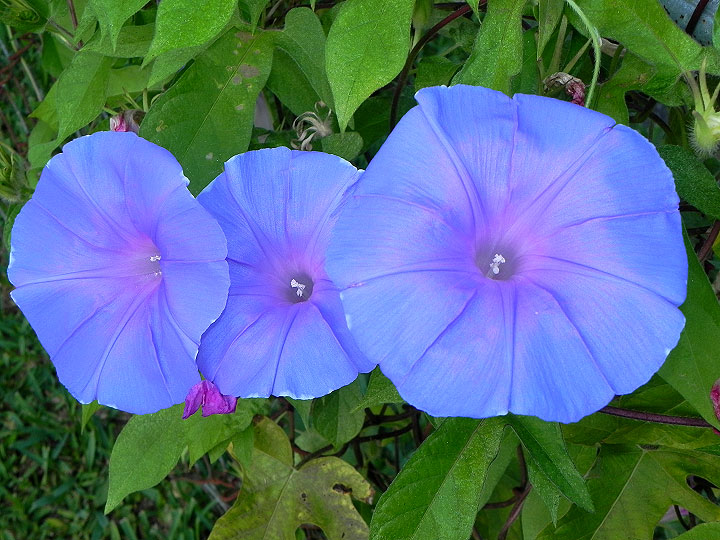 dscn1050