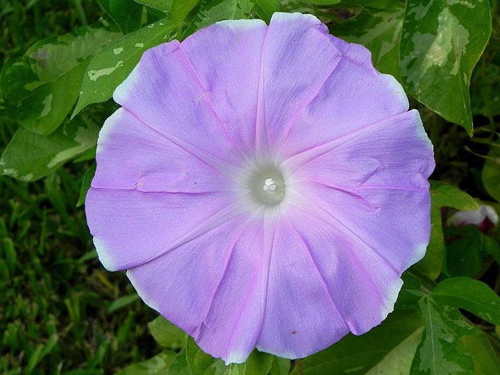 dscn1054