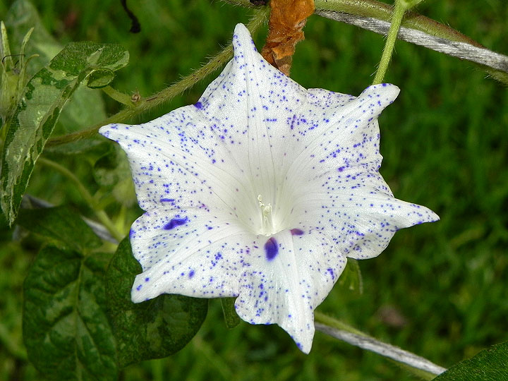 dscn1067