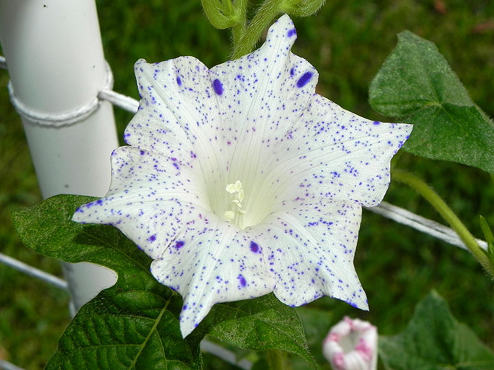 dscn1093