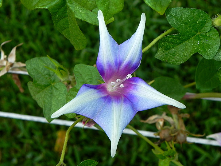 dscn1110