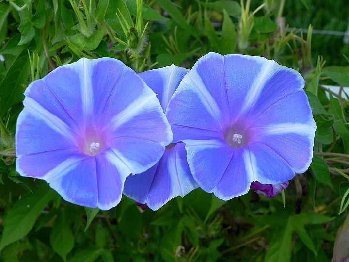 dscn1128