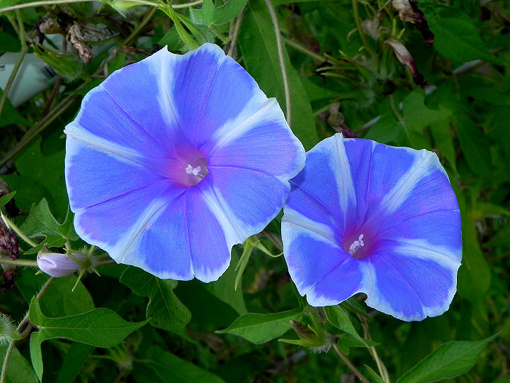dscn1129
