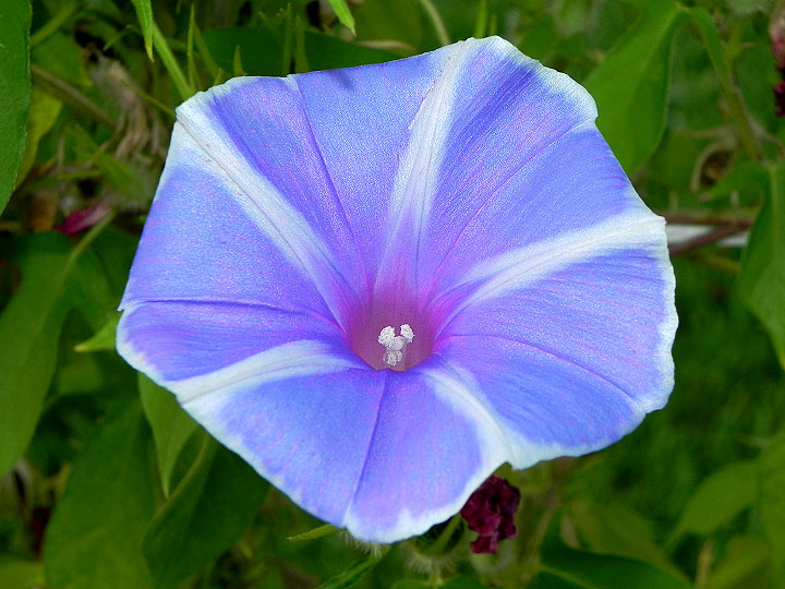 dscn1131