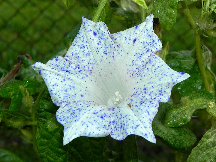 dscn1186