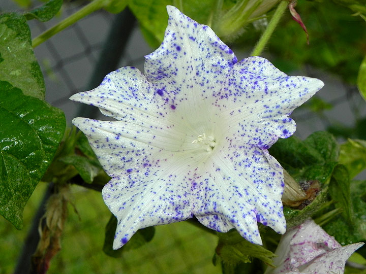 dscn1189