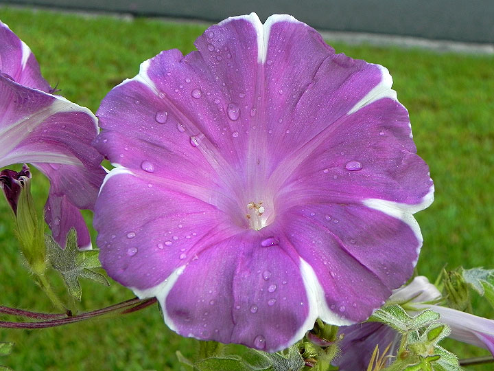 dscn1256