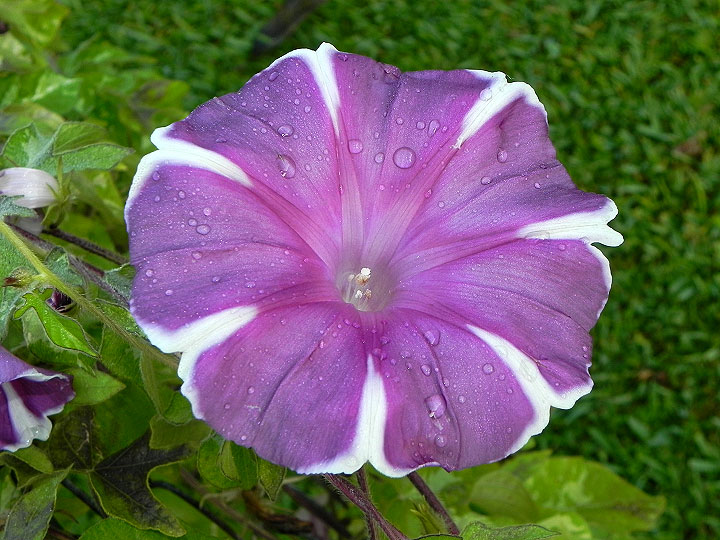 dscn1257