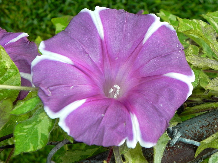 dscn1259