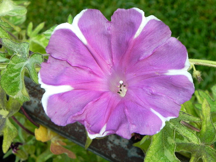 dscn1260