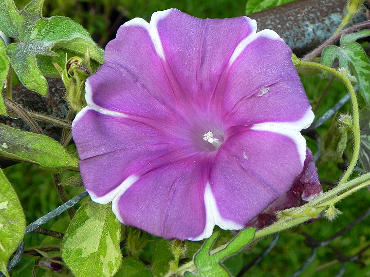 dscn1285