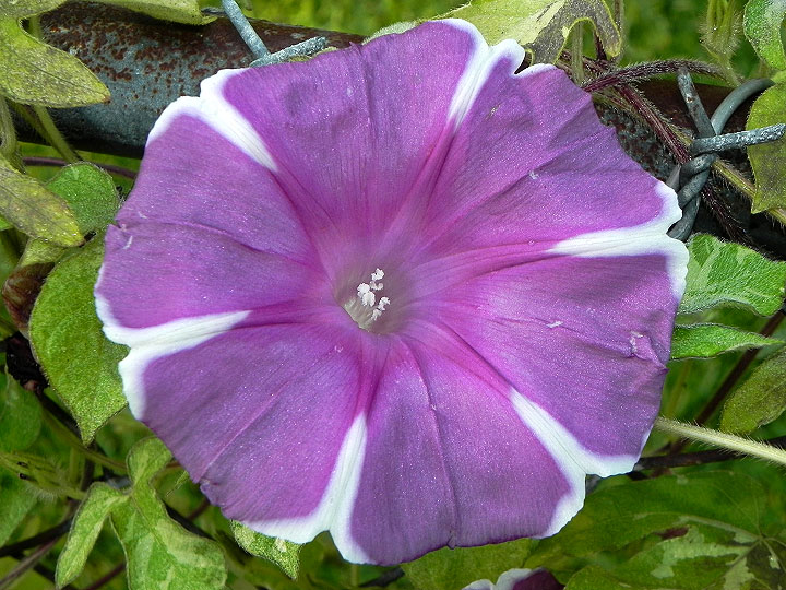 dscn1286
