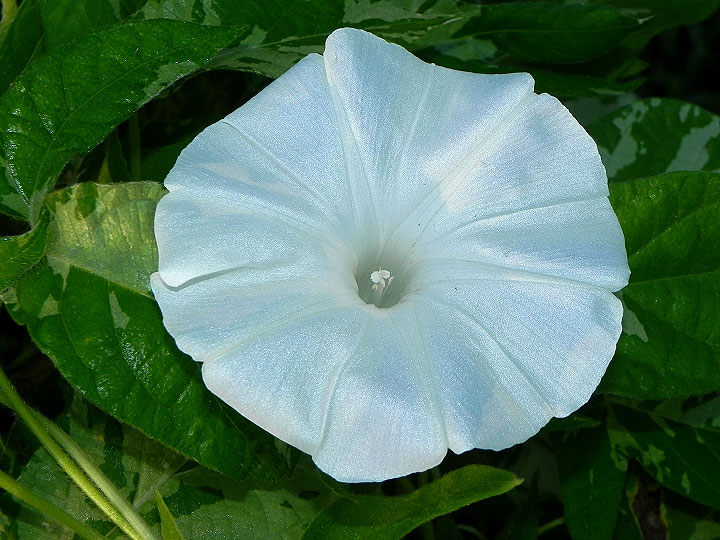 dscn1311