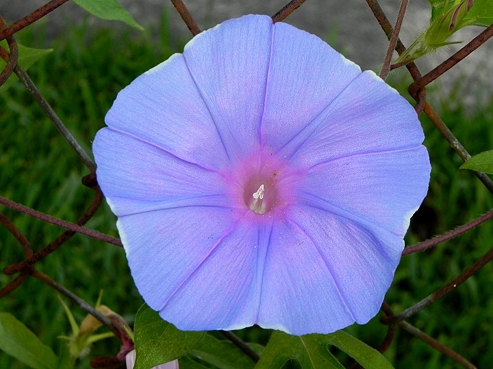 dscn1319