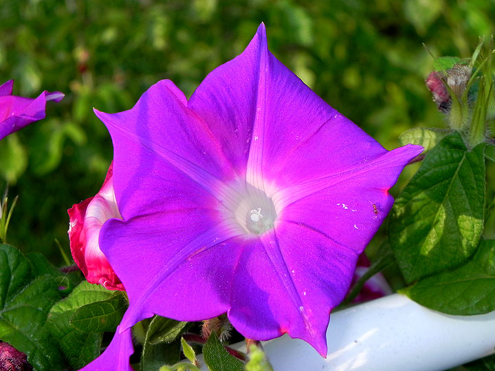 dscn1329