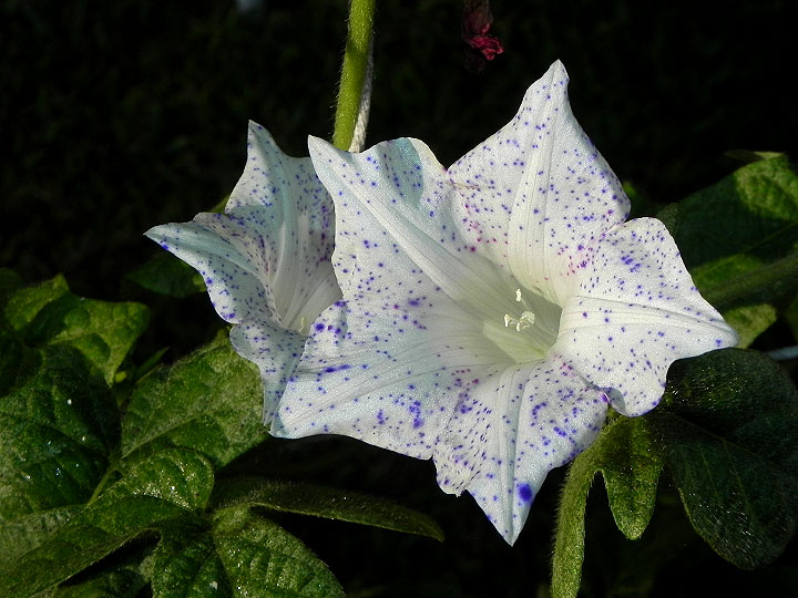 dscn1357
