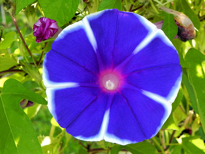 dscn1366