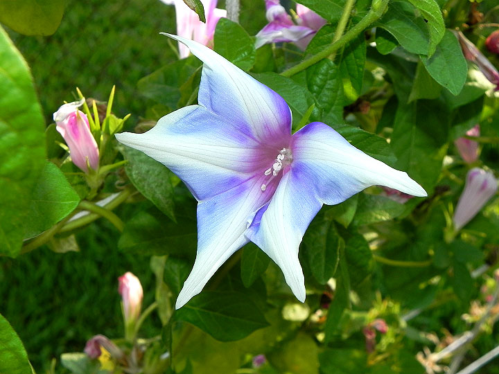 dscn1372