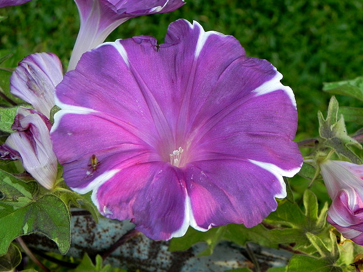 dscn1398