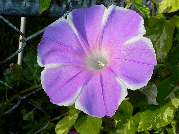 dscn1418