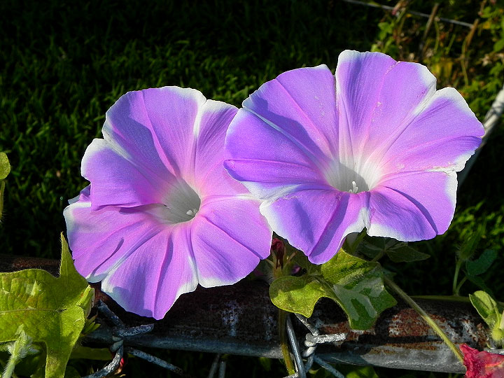 dscn1419
