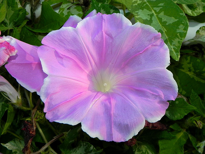 dscn1465