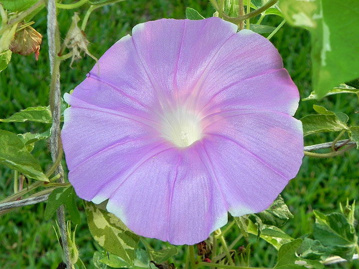 dscn1466