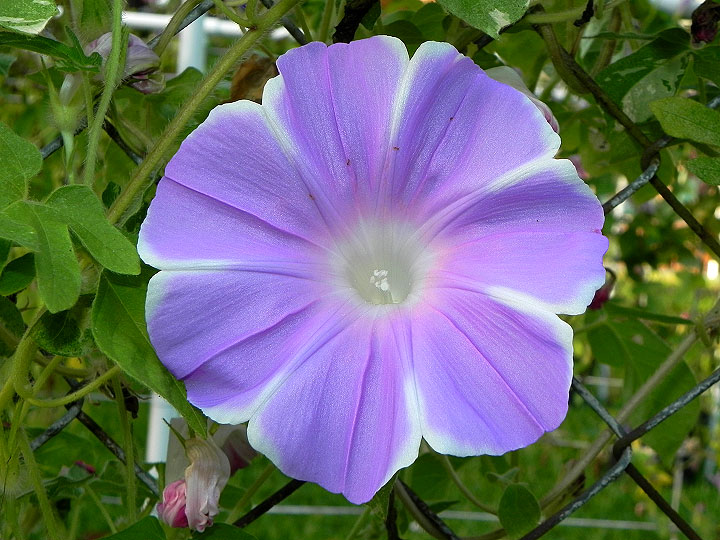 dscn1534