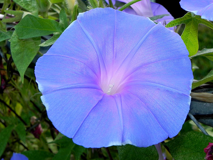 dscn1561